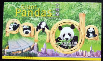 topical-panda mini